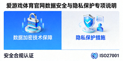 爱游戏体育官网数据安全与隐私保护专项说明示意图，数据加密锁图标